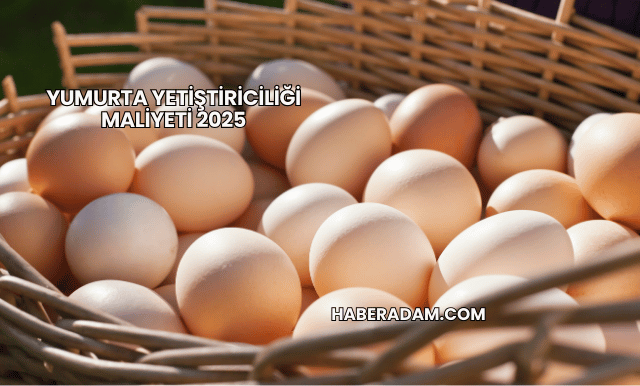 Yumurta Yetiştiriciliği Maliyeti 2025