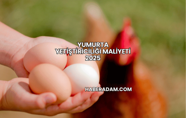 Yumurta Yetiştiriciliği Maliyeti 2025