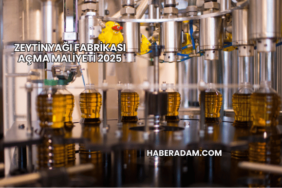 Zeytinyağı Fabrikası Açma Maliyeti 2025