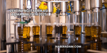 Zeytinyağı Fabrikası Açma Maliyeti 2025