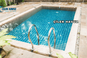 Çilek Havuz Hakkında