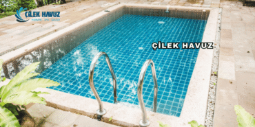 Çilek Havuz Hakkında