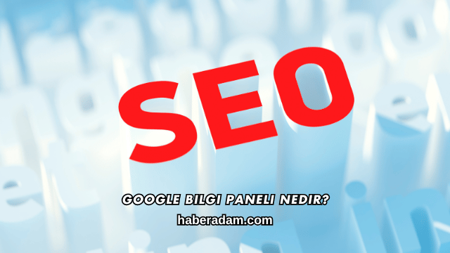 Google Bilgi Paneli Nedir?