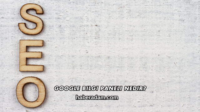 Google Bilgi Paneli Nedir?