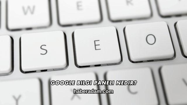 Google Bilgi Paneli Nedir?